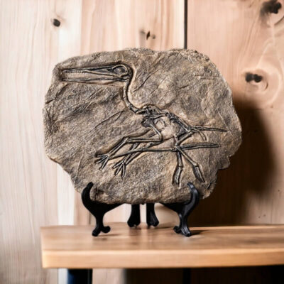 Dinosaurier Fossil Replik Bild 6