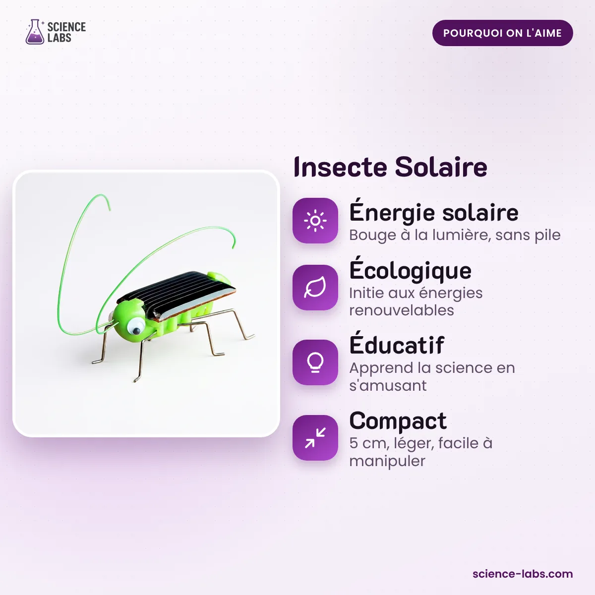 Solar Insekt Spielzeug Bild 3