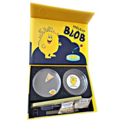 Blob Schleimpilz Zuchtset Bild 6