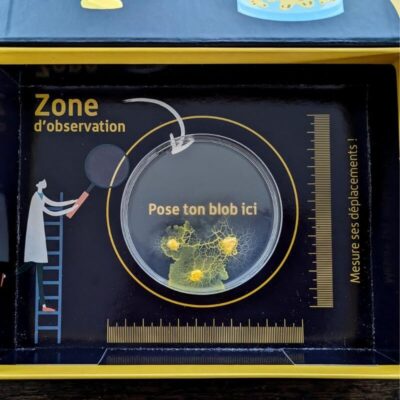 Blob Schleimpilz Zuchtset Bild 5
