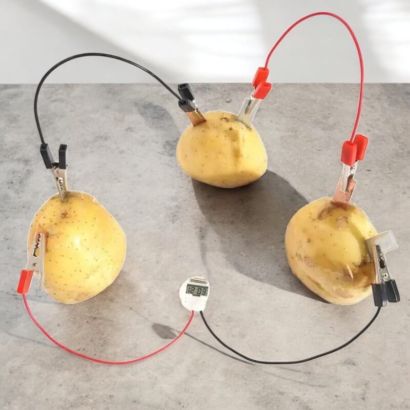 Kartoffeluhr Experimentierset