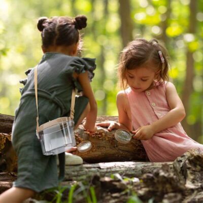 Insekten Beobachtungsset für Kinder Bild 6