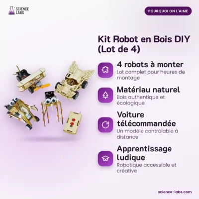 Holzroboter Bausatz 4er Set Bild 4