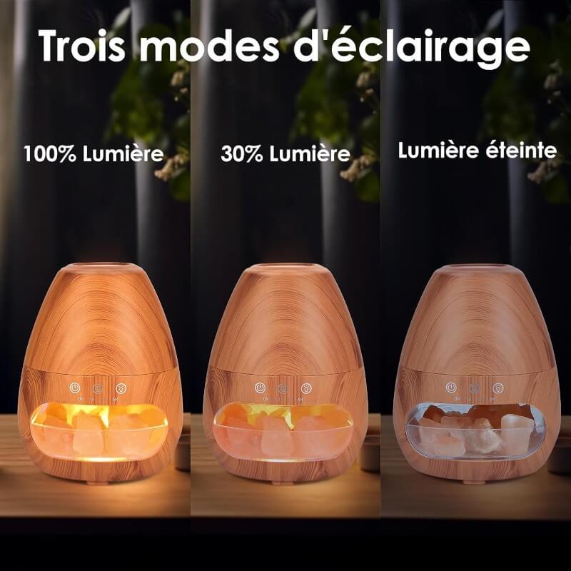 Himalaya Salzlampe mit Diffuser Bild 6