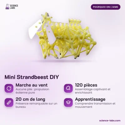 Mini Strandbeest Bausatz Bild 3