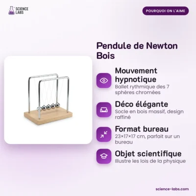 Newton Pendel mit Holzsockel Bild 3