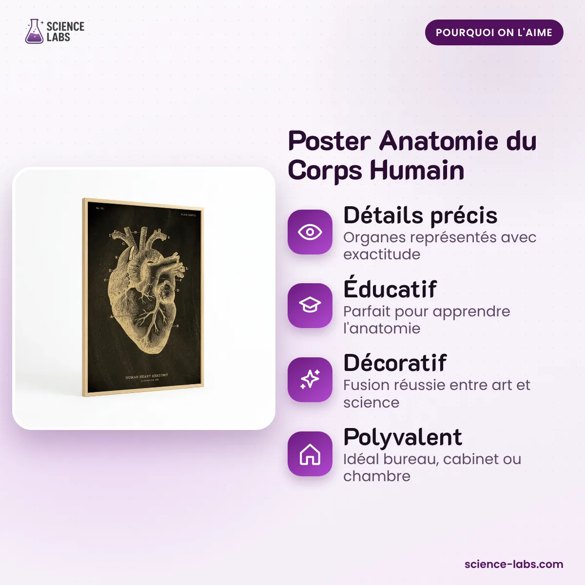 Anatomie Poster Menschlicher Körper Bild 3