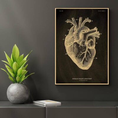 Anatomie Poster Menschlicher Körper