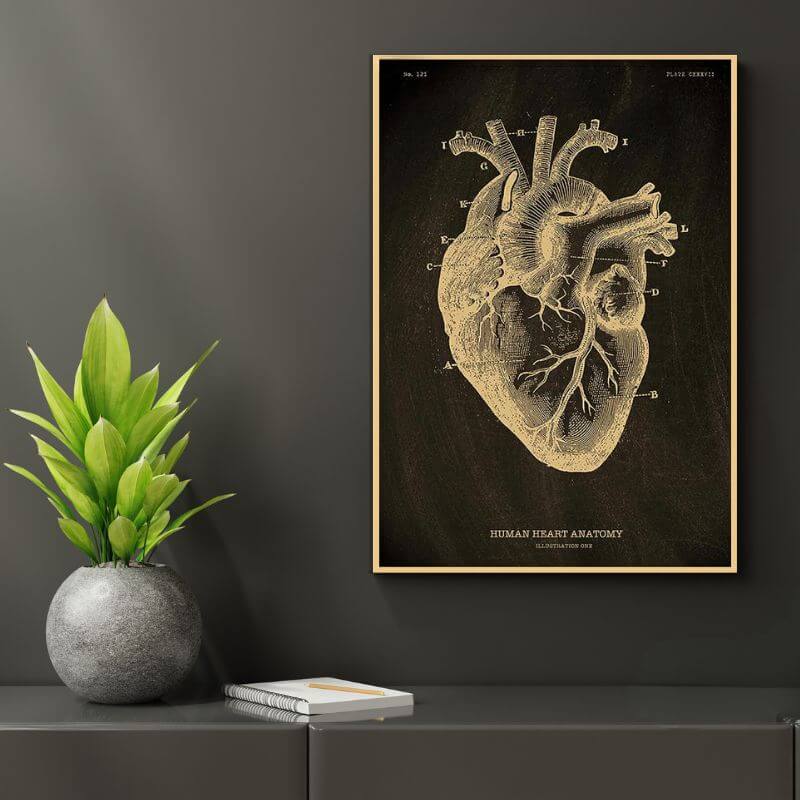 Anatomie Poster Menschlicher Körper