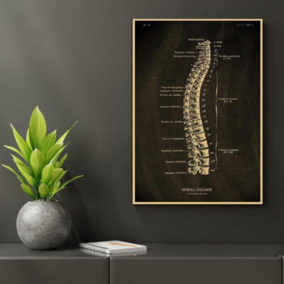 Anatomie Poster Menschlicher Körper Bild 7
