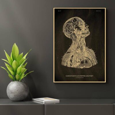 Anatomie Poster Menschlicher Körper Bild 5