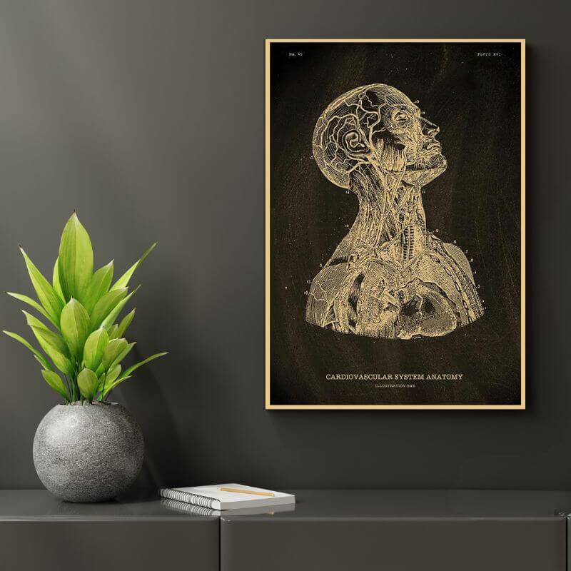 Anatomie Poster Menschlicher Körper Bild 5