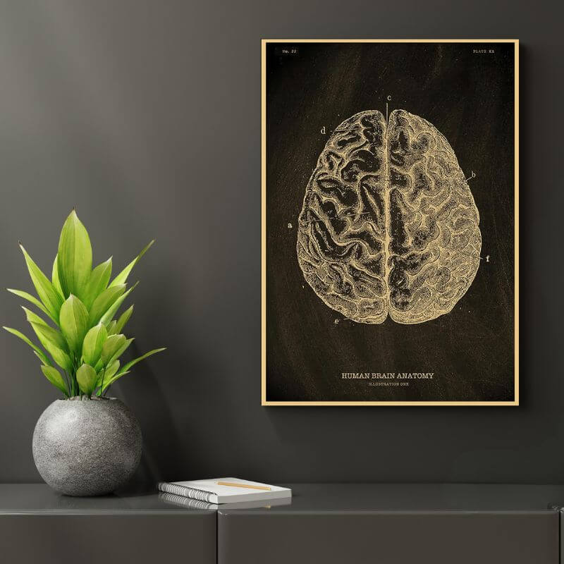 Anatomie Poster Menschlicher Körper Bild 2