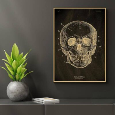 Anatomie Poster Menschlicher Körper Bild 6
