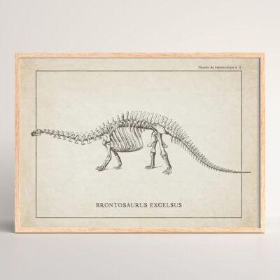 Dinosaurier Poster Bild 6