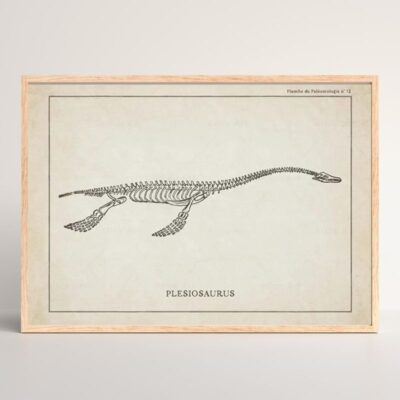 Dinosaurier Poster Bild 5