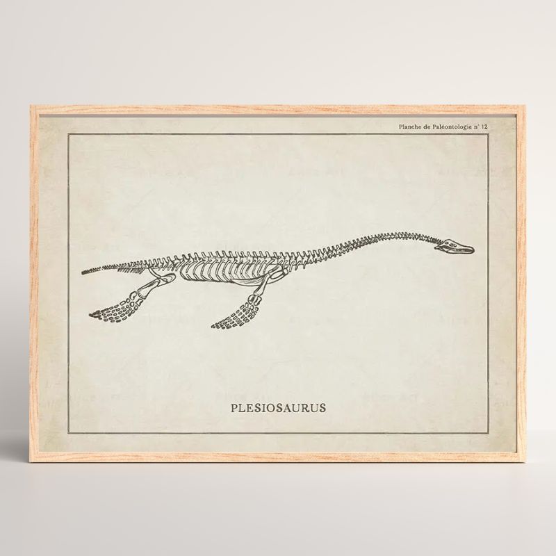 Dinosaurier Poster Bild 5