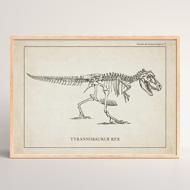 Dinosaurier Poster