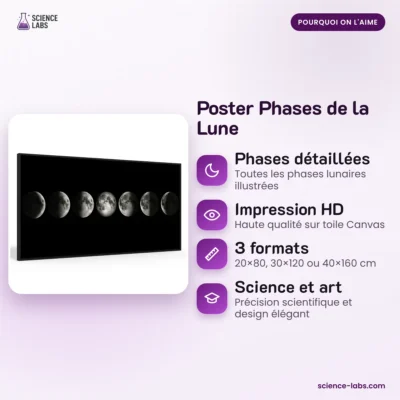 Mondphasen Poster Bild 3