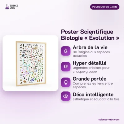 Biologie Poster Evolution Bild 3