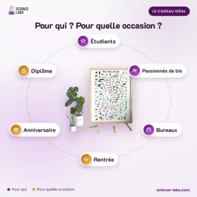 Biologie Poster Evolution Bild 4