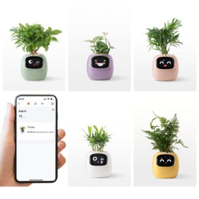 Smarter Blumentopf mit Sensoren Bild 10