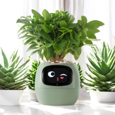 Smarter Blumentopf mit Sensoren