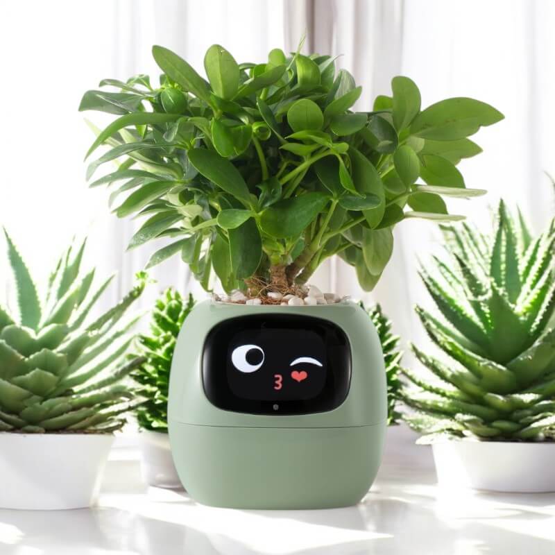 Smarter Blumentopf mit Sensoren