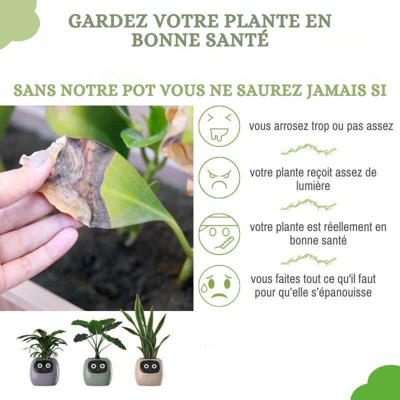 Smarter Blumentopf mit Sensoren Bild 8
