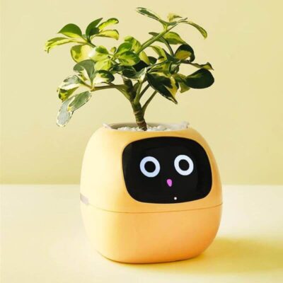 Smarter Blumentopf mit Sensoren Bild 9