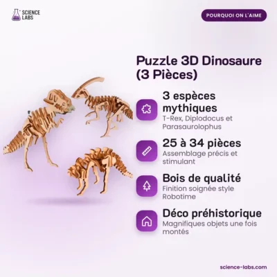 3D Holzpuzzle Dinosaurier 3er Set Bild 3
