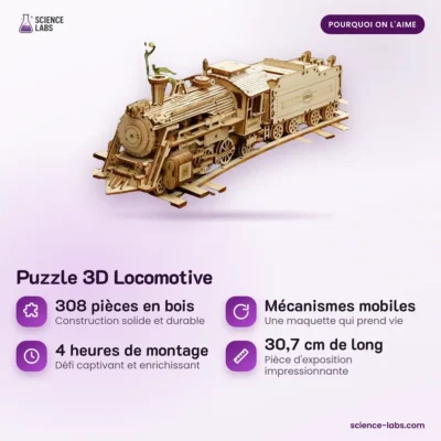 3D Holzpuzzle Lokomotive Bild 3