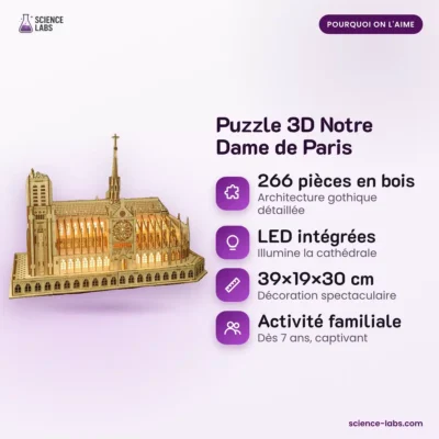 3D Holzpuzzle Notre Dame de Paris Bild 3