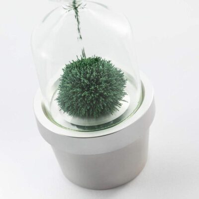 Magnetische Sanduhr Blumentopf Bild 7