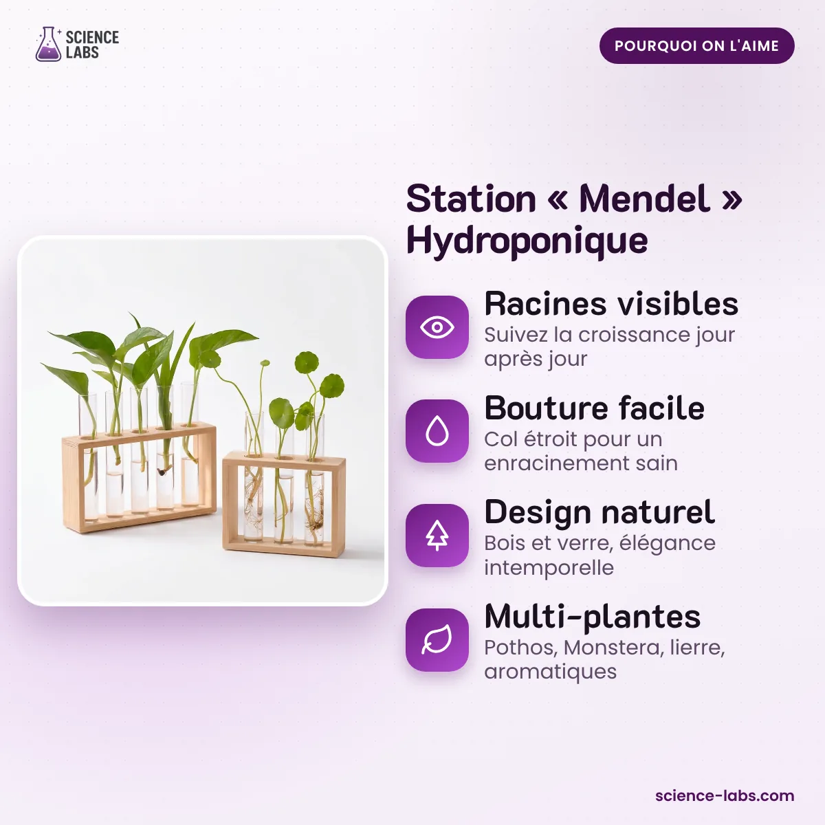 Hydroponik Station Mendel Bild 3