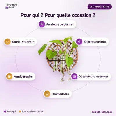 Hydroponik Wandvasen Holz 3er Set Bild 4