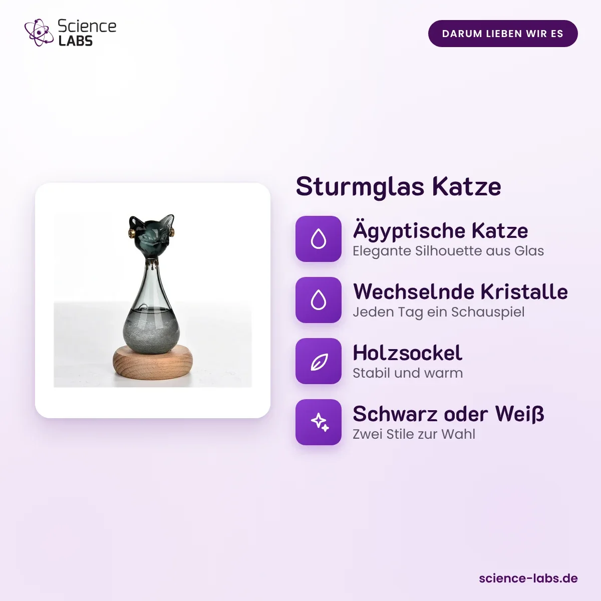 Sturmglas Katze