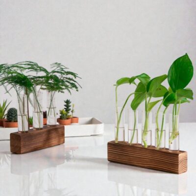 Reagenzglas Vase mit Holzständer Bild 2