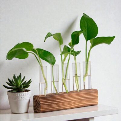 Reagenzglas Vase mit Holzständer Bild 6